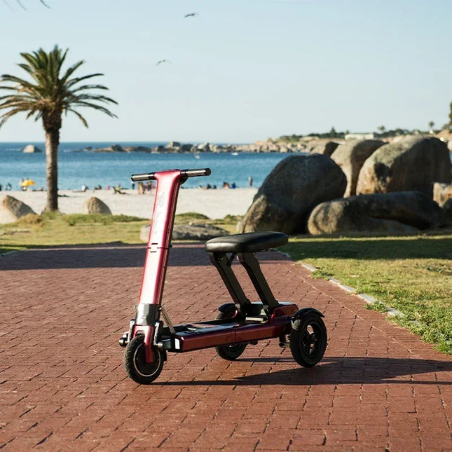 Tri-Wheel Foldable Padded Seat Electric Mobility Scooter