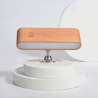 Beech lamp