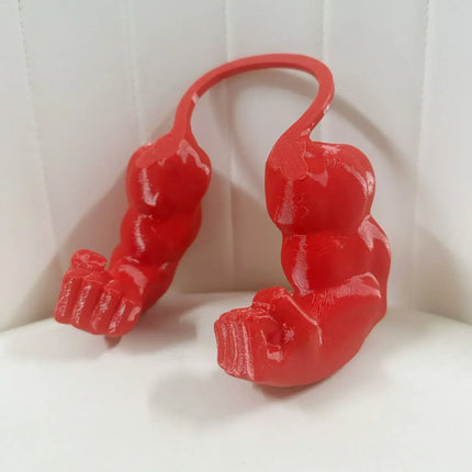 Body Builder Neck Hanging Pet Toy