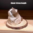 gray cat