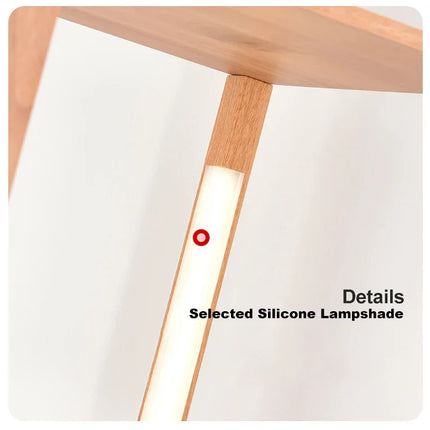 Elegant Wooden LED Light Nordic Shelf