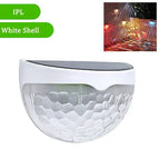 White Shell-Colorful / 2Pcs