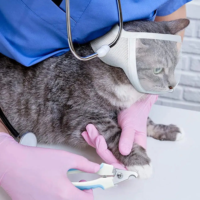 Anti-bite Breathable Small Pet Safety Mask