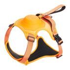 Orange / M