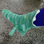 Crocodile