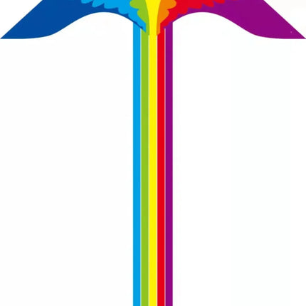 Colorful Long Tail Outdoor Rainbow Kite