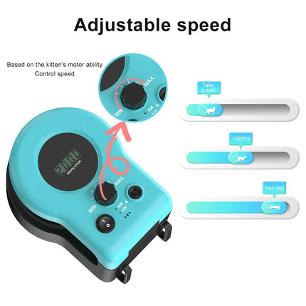 Cat Chaser Automatic Indoor Fun Pet Toy