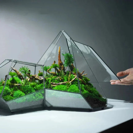 Geometric Glass Moss Planter Terrarium Vase