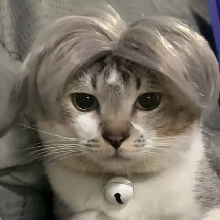 Auntie Style Funny Pet Wig