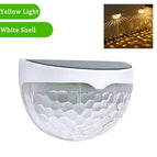 White Shell-Warm / 2Pcs
