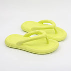 light green / 40-41