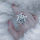 silver ring 2