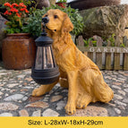 Golden Retriever A