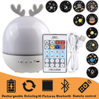 Elk BT Speaker