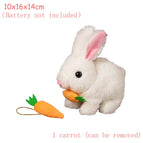 carrot rabbit white