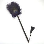 M 48cm  Purple