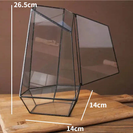 Modern Geometric Nature-Inspired Botanical Terrarium