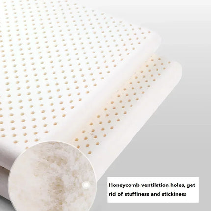 Latex Foam Orthopedic Seat Pad