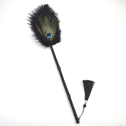 Peacock Feather Anti-Static Dusting Brush