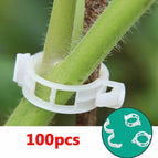 100pcs