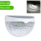 White Shell-White / 2Pcs