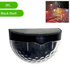 Black Shell-Colorful / 2Pcs
