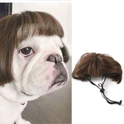 Auntie Style Funny Pet Wig