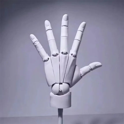 Multi-Pose Drawing Sculpting Art Hand Model