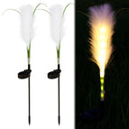 B 2PCS 71CM
