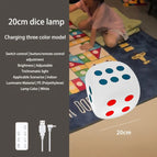 20CM