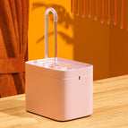 Pink / USB Plug