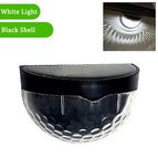 Black Shell-White / 2Pcs