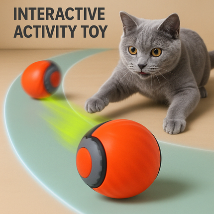 Forever Run Motion Cat Play Ball Toy