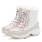 Beige / 37