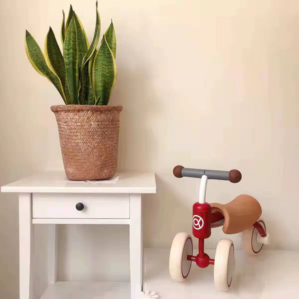Walking Balance Tricycle Lightweight Kids Bike