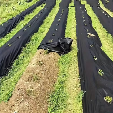 Garden Ground Cover Long-Lasting Anti-grass Fabric