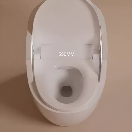 Fully Automatic Smart Floor-Mounted Toilet