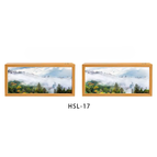 CT-HSL-17