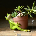 Model 4