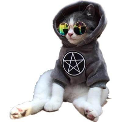Pet Fashion Hoodie