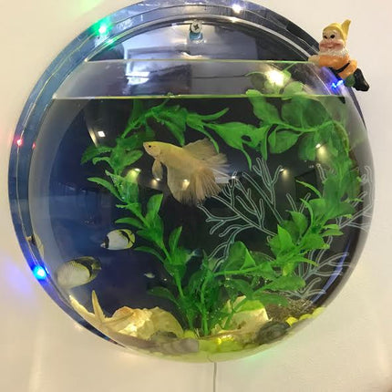 Wall-Mounted Modern Acrylic Fish Tank