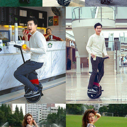 Two Wheel Balancing Foldable Electric Scooter
