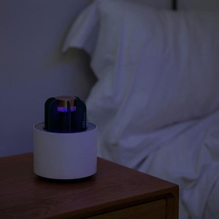 Modern Portable Cactus Mosquito Killer Lamp