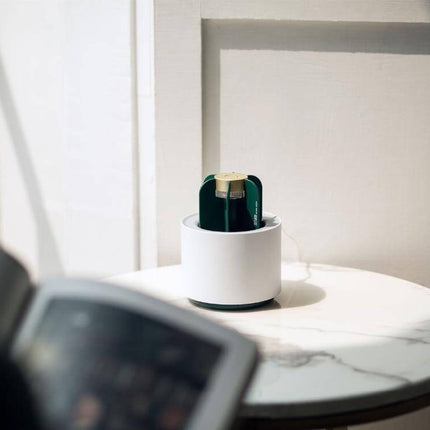 Modern Portable Cactus Mosquito Killer Lamp