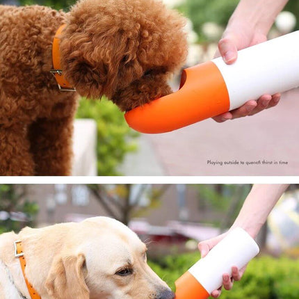 Rocket Portable Travel Dog Water Bottle