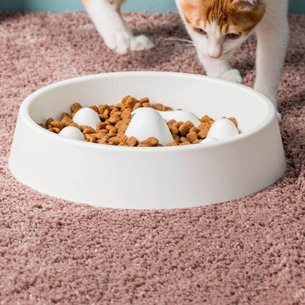 Modern Pet Slow Food Bowl