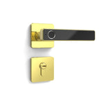 Gold / 6072