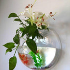 transparency