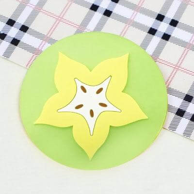 5pcs Silicon Custom Fruit Coasters
