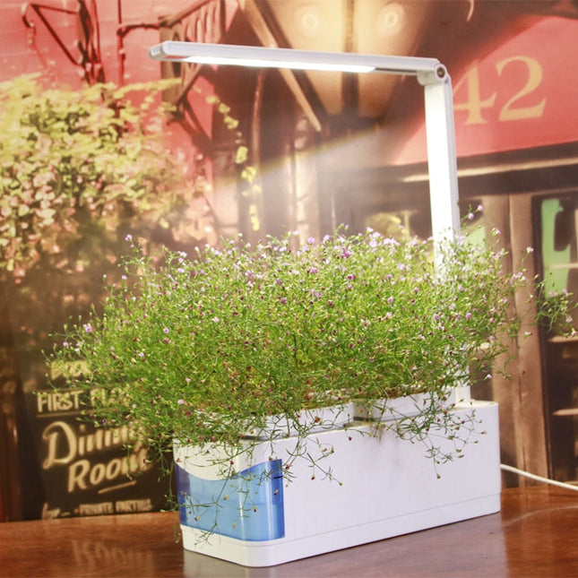 Modern Home Plant Growth Lamp Box